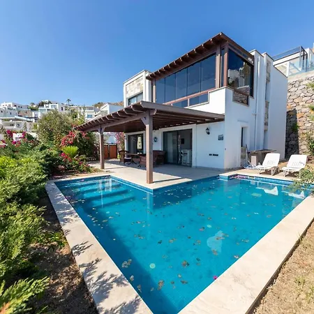 Splendid Villa With Private Pool And Jacuzzi Near Beach In Bodrum Villa